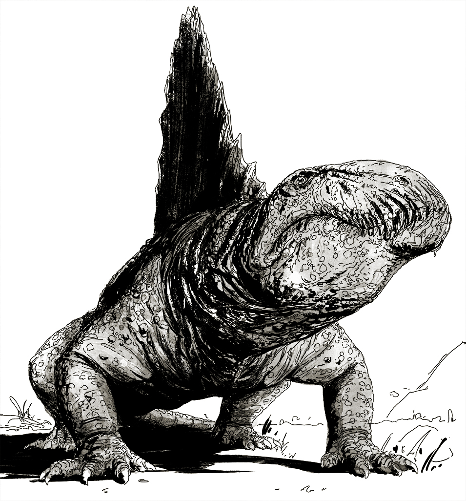 Dimetrodon