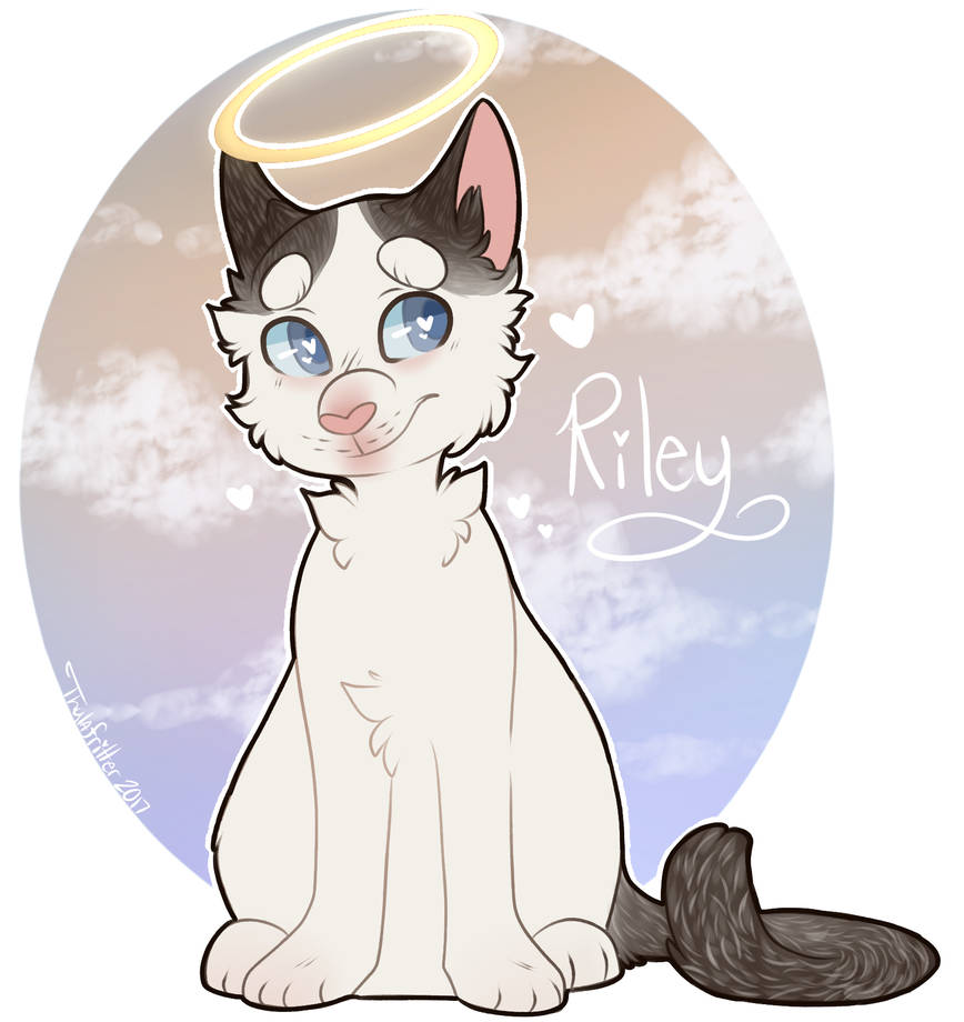 Finished Commission Riley by ThylaFritter on DeviantArt