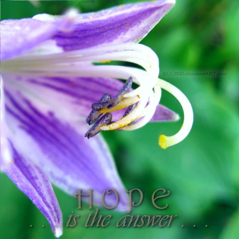 Hope is the Answer . . .