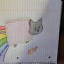 Nyan cat :3