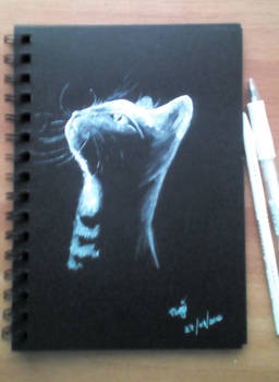 Black Paper - Cat