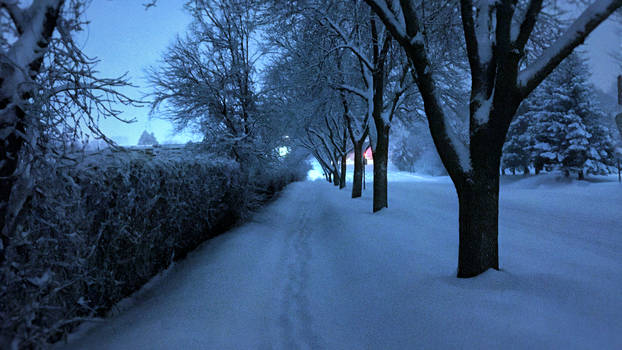 Snowy Sidewalk 