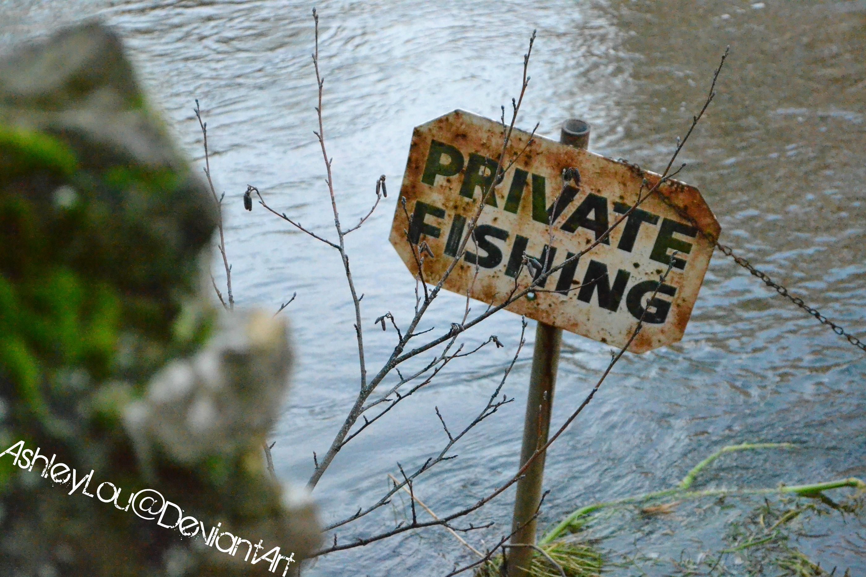 Private Fishing