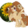 l + C + l Little Sunflower