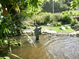 Vietnamese fisherman 3