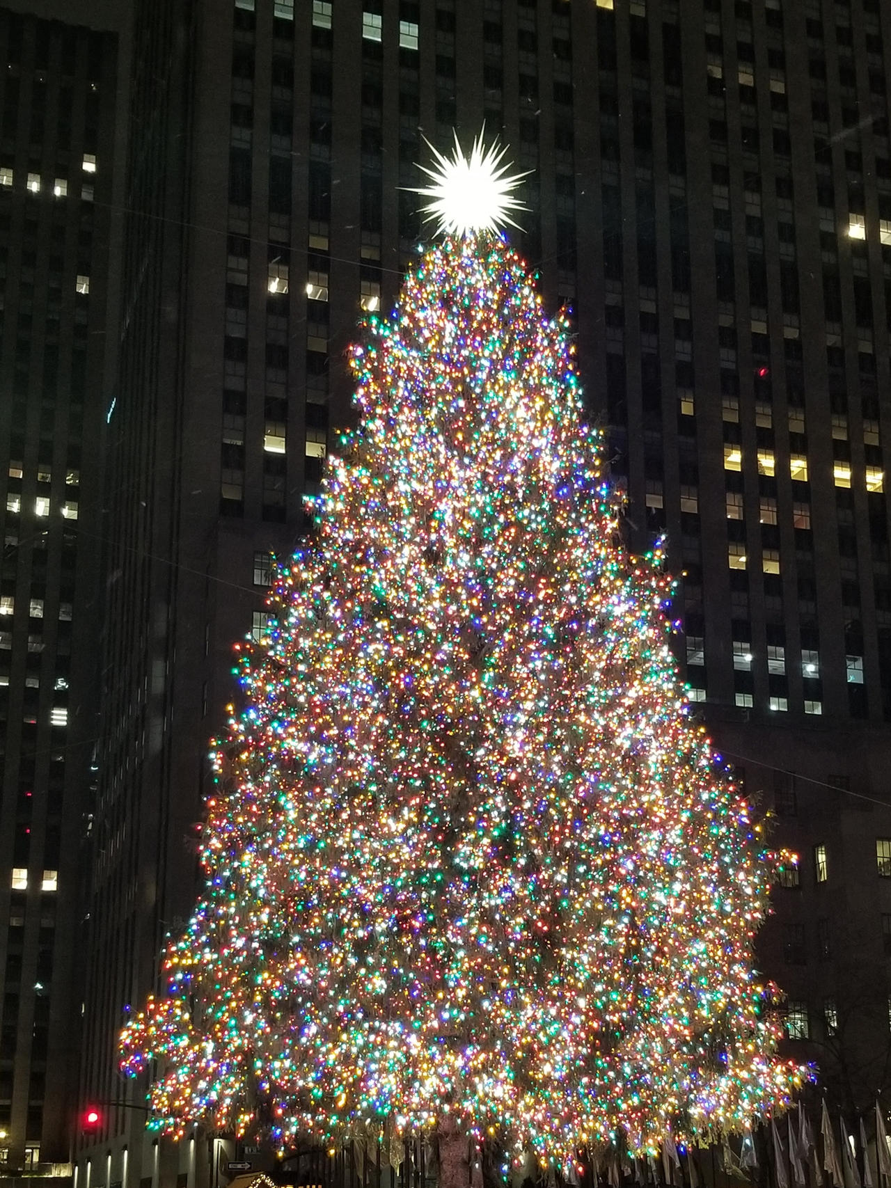Second Picture Of Christmas Tree