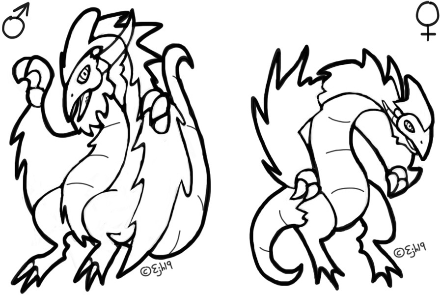 Free Male And Female Wyvern Lineart