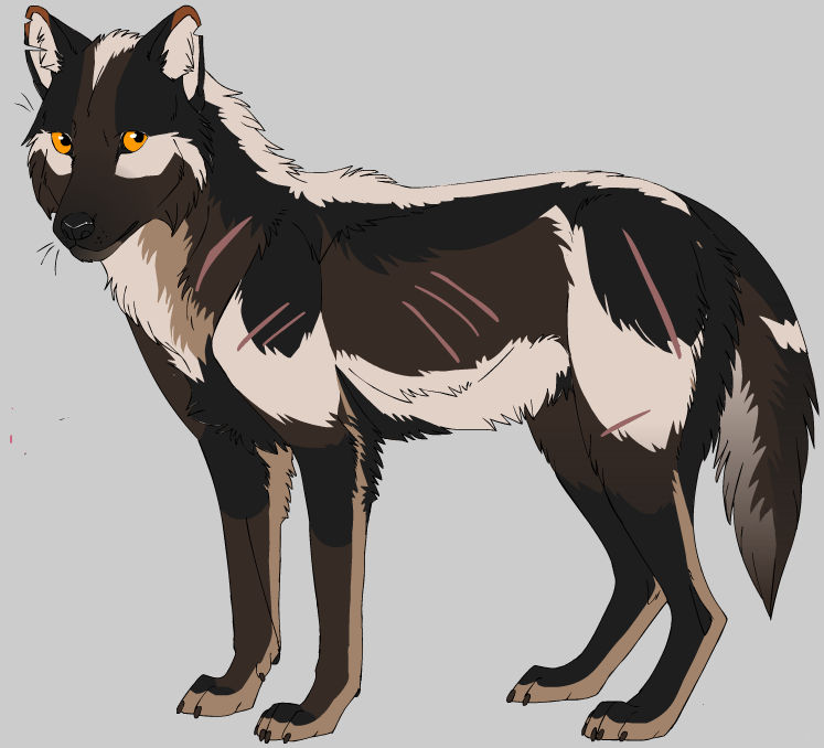 Wolf OC by Irish-Ninja11 on DeviantArt