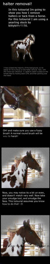 How to remove a halter tut.