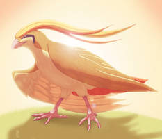 #018 Pidgeot