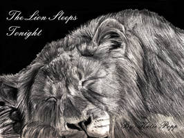 The Lion Sleeps Tonight