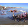 Cow144: Immersed Platoon Crab