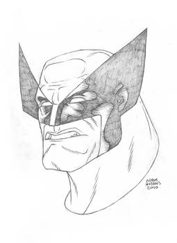 $25 Wolverine Sketch