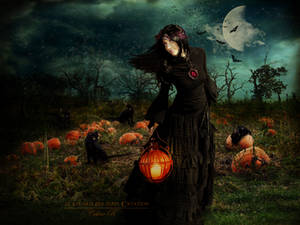 Samhain's night