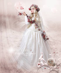 Winter Fairy