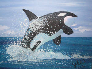 Killer Whale