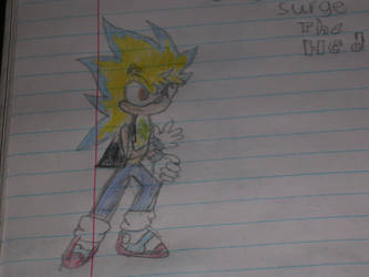 surge the hedgehog