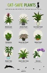 Cat Safe Plants I