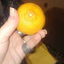 What dose this orange look like