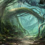 Env Forest
