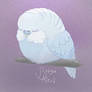 BudgieNerd my mascot - Frost the budgie