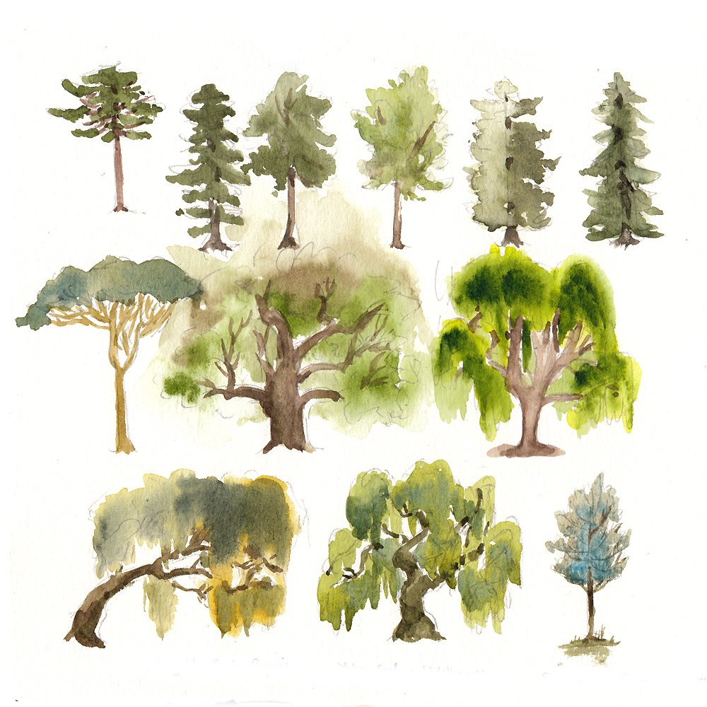 Tree Tree Tree by emera on DeviantArt