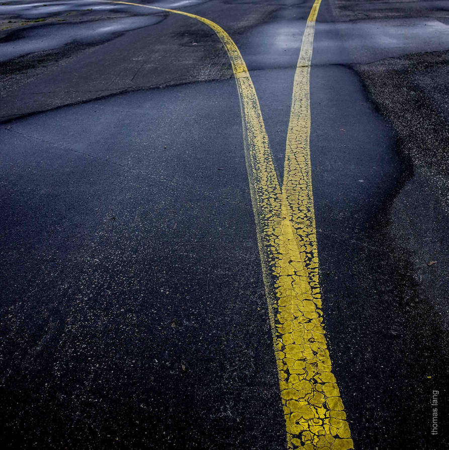 Which Way? by tholang Which Way? by tholang