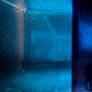 Into a Blue World