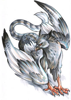 silver griffon