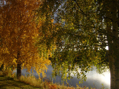 Autumn Riverside3
