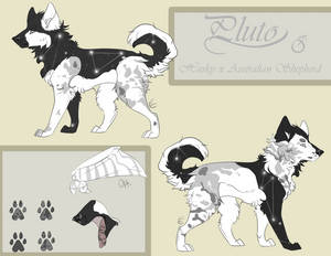 Pluto Ref