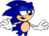 Sonic the hedgehog