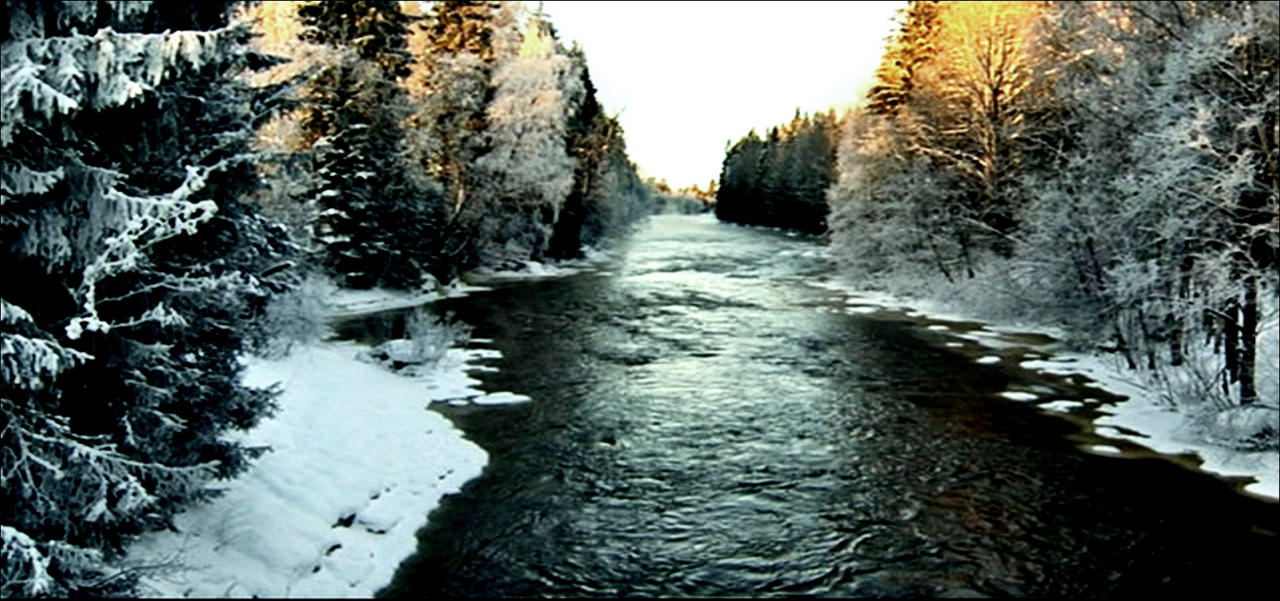 Golden Touch In Frosrty Landscape In January 17