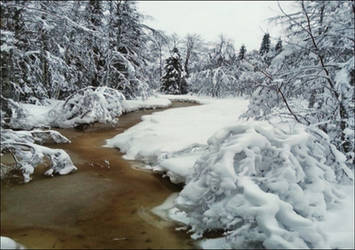 The Snow Melting Away After The Storm On January 2 by eskile