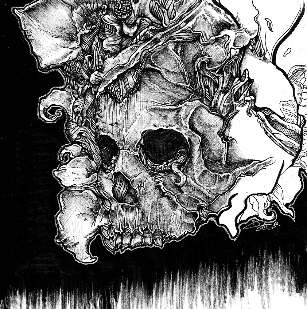 Skull Sketch