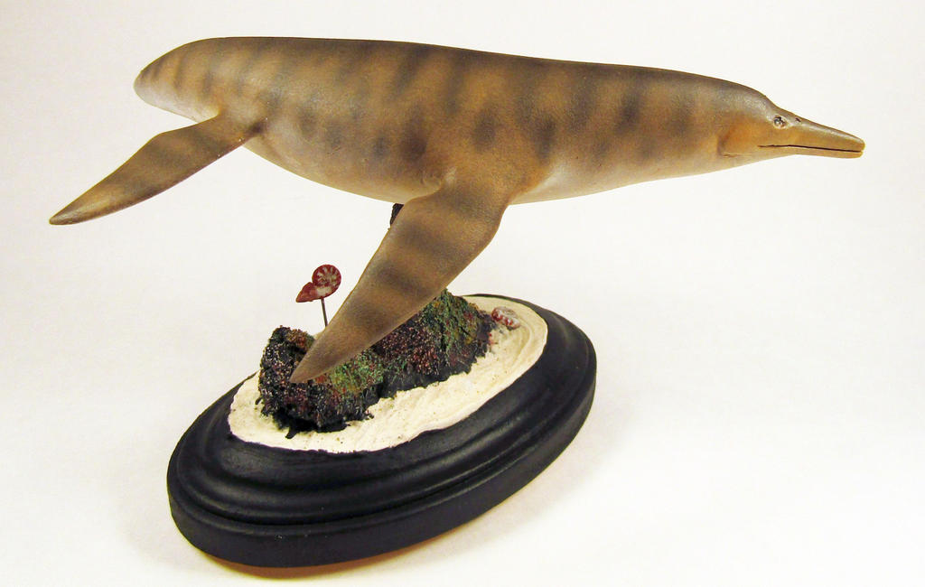 Polycotyus Polycotylus latipinnis after an image by Gabriel U by modelnut on ...