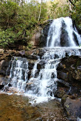 Laurel Falls