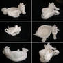 seahorse teacups