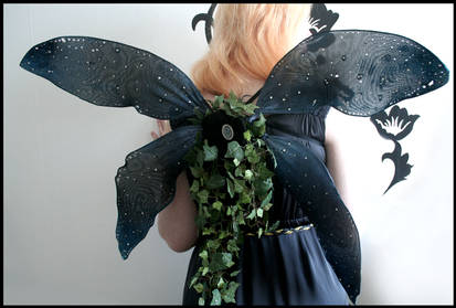 Titania's wedding wings