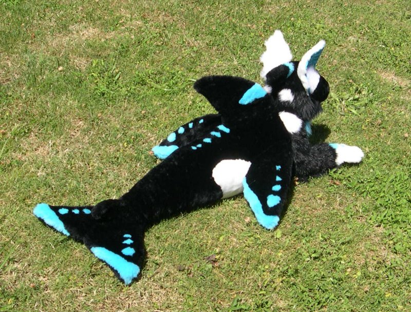 Orca Hybrid plush