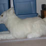 Giant white wolf plush