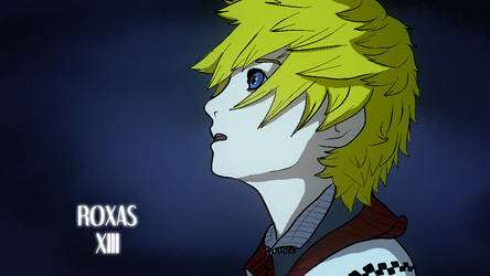 Number XIII - Roxas