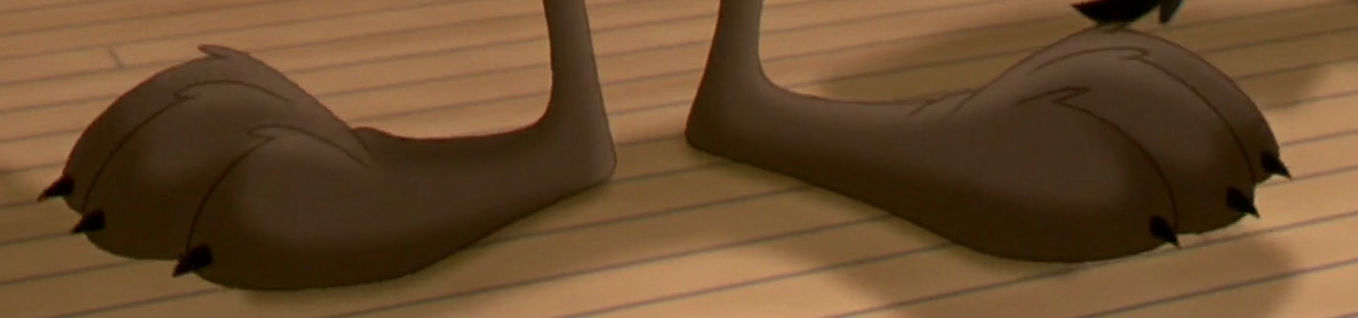Wile E. Coyote Feet Close Up (Space Jam) 2 by LD1998 on DeviantArt