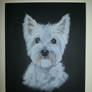 Westie - white pastel on black