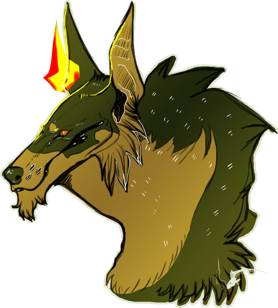 Dobersune Headshot