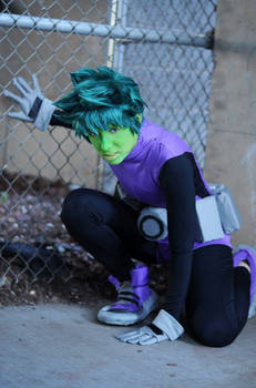 The Teen Titans - Beast Boy