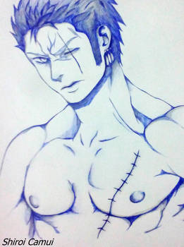 Roronoa Zoro : One Piece (Pen and pencil).