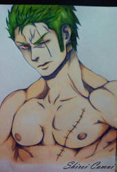 Roronoa Zoro: One Piece (Pen and Pencil)