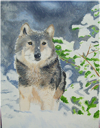 Wolf in the Snow