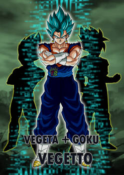 Vegeta + Goku = Vegetto - POSTER